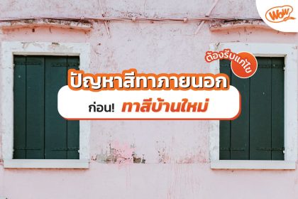 ปัญหาสีทาภายนอก ต้องรีบแก้ไขก่อนทาสีบ้านใหม่