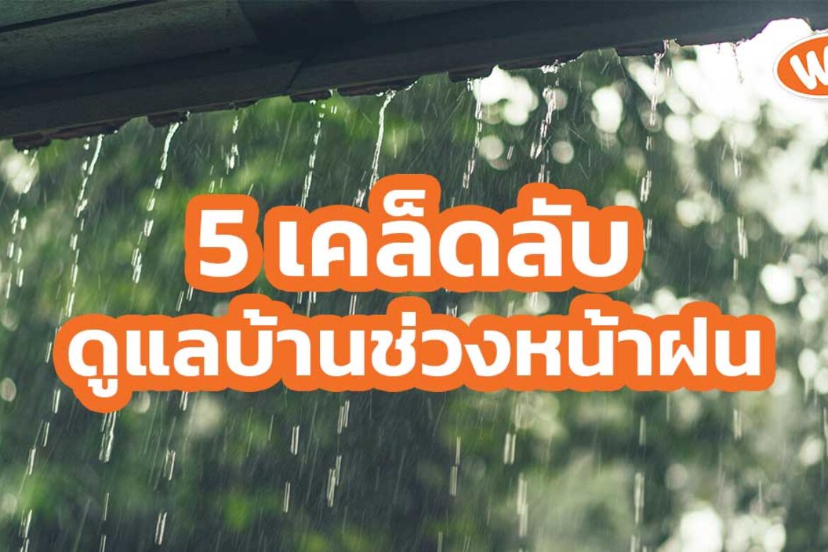 5 เคล็ดลับ ดูแลบ้านช่วงหน้าฝน