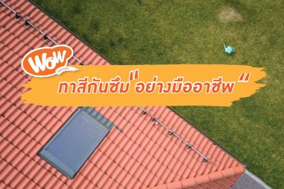 ทาสีกันซึมอย่างมืออาชีพ