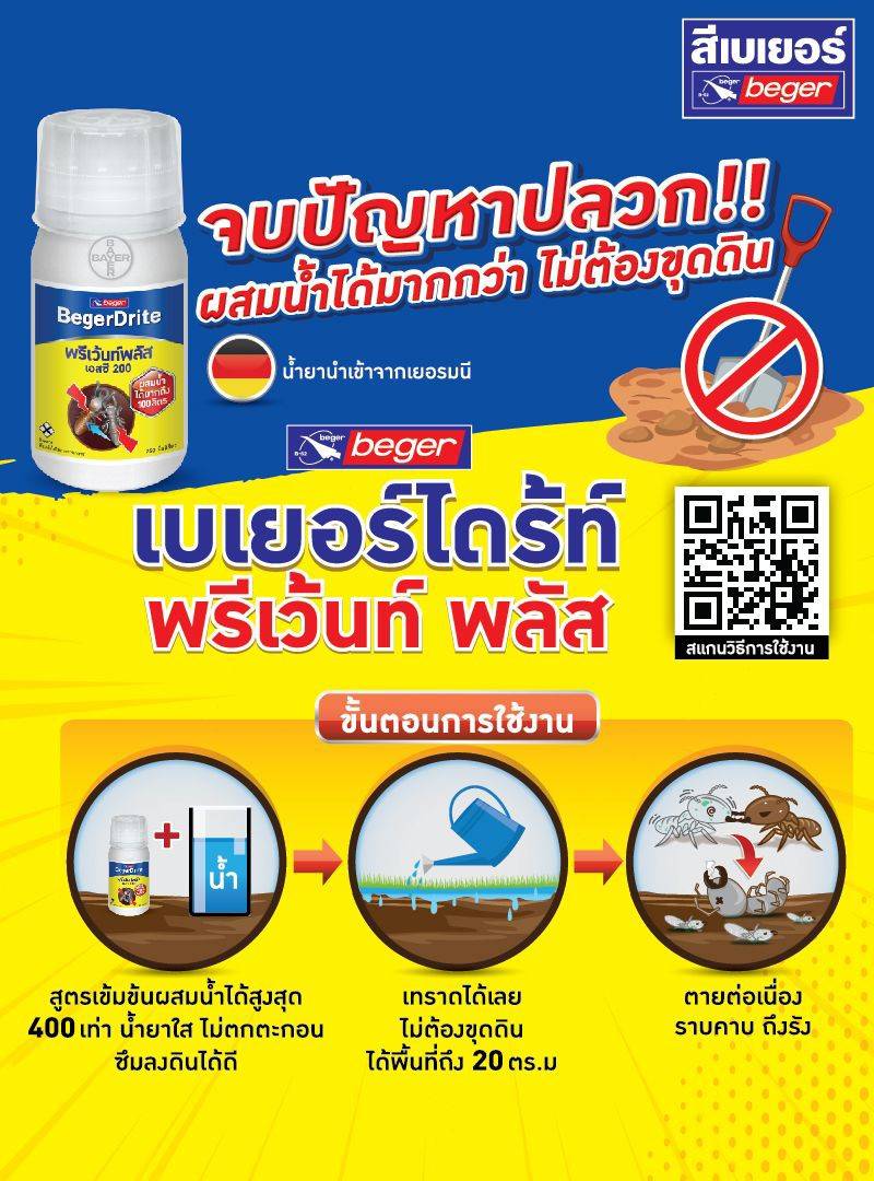 - WOW PREMIUM PAINT SERVICE โครงสร้างไม้